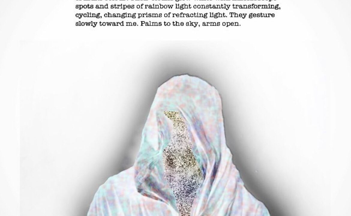 digital illustration of a hooded figure against a white background, their wrap made of blurry gaussian noise, under their hood is black and white static